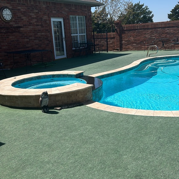 Meet your Posher, Carol - Picture 16 of 16